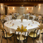 Domaine du Petit Chambard à St Trivier sur Moignans