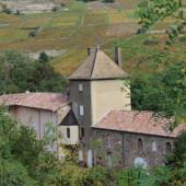 Château d’Envaux à Juliénas